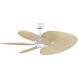 Islander DC Matte White Fan Motor in 5