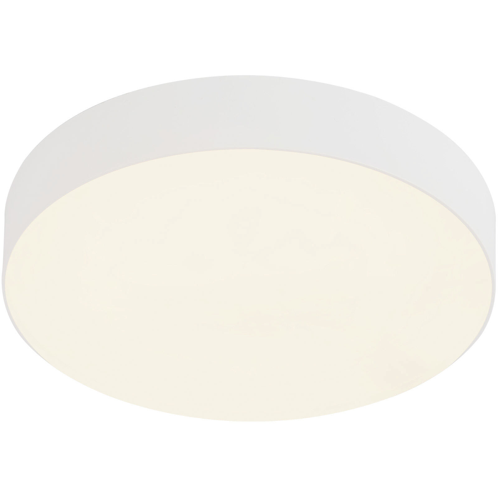 Rynn 5.25 inch White Flush Mount Ceiling Light