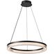Ari LED 19.7 inch Black Pendant Ceiling Light