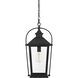 Luz 1 Light 9 inch Black Outdoor Pendant