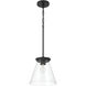Connell 1 Light 10 inch Flat Black Pendant Ceiling Light