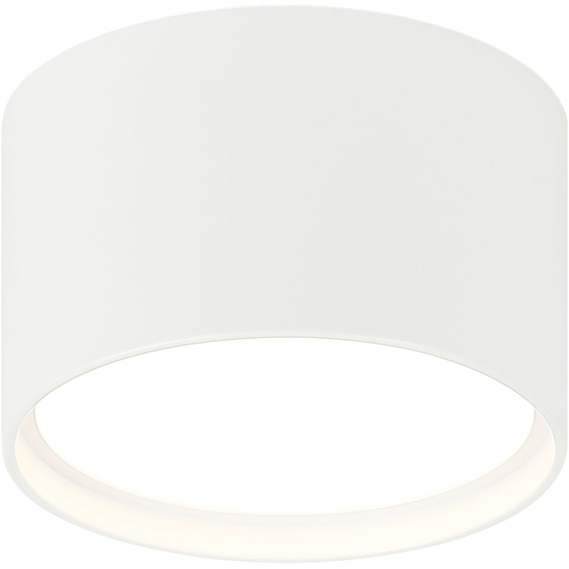 Caravon 1 Light 5.50 inch Flush Mount