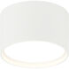 Caravon LED 5.5 inch White Flush Mount Ceiling Light