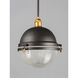 Portside 1 Light 12 inch Oil Rubbed Bronze/Antique Brass Outdoor Pendant