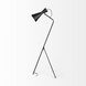 Eris 58.27 inch Black Floor Lamp Portable Light