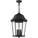 Hamilton 3 Light 12.5 inch Textured Black Outdoor Pendant Lantern
