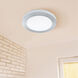 Carpi 1 LED 15.15 inch Brushed Aluminum Flush Mount Ceiling Light