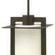 Colfax LED 10 inch Bronze Outdoor Hanging Light, Etched Opal Glass