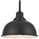 Aron 1 Light 11 inch Black Outdoor Wall Sconce