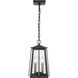 Kirkdale 2 Light 9 inch Matte Black with Natural Brass Outdoor Pendant