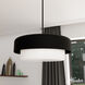 Station 4 Light 24 inch Natural Black Iron Pendant Ceiling Light, Large