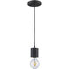 Placerville 1 Light 2 inch Black Mini Pendant Ceiling Light