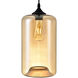 Glass 1 Light 7 inch Black Down Mini Pendant Ceiling Light in Cognac
