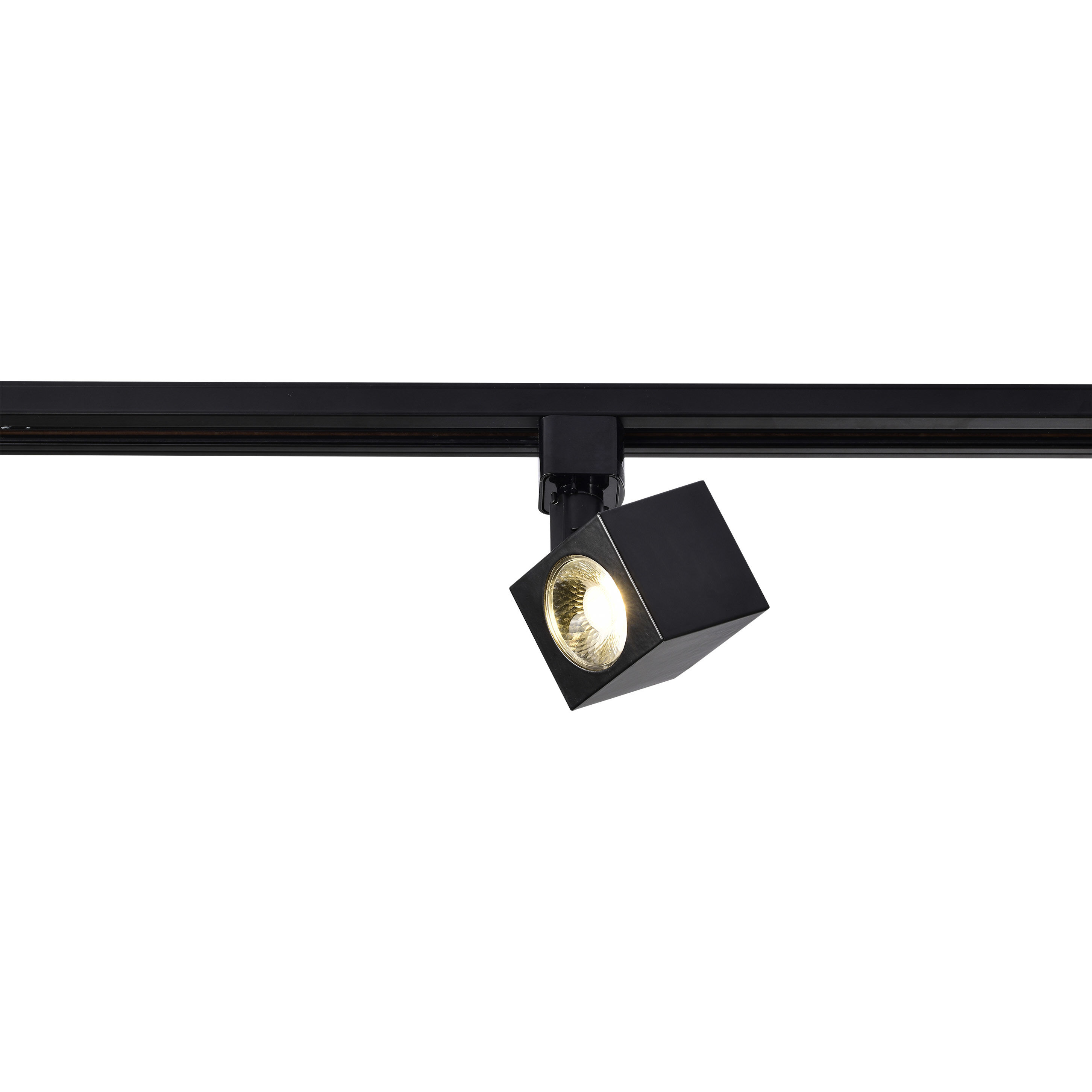 Brentwood 1 Light 120V Black Track Head Ceiling Light