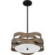 Appleton 2 Light 16 inch Matte Black Pendant Ceiling Light