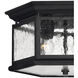 Estate Series Edgewater 2 Light 13 inch Black Outdoor Flush Mount
