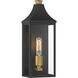 Hurstborne 1 Light 15.75 inch Dark Matte Black and Painted Legacy Brass Outdoor Wall Lantern