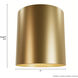 Canoga 1 Light 5 inch Luxe Gold Flush Mount Ceiling Light, Small