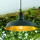 Dorado LED 15 inch Dark Bronze and Light Gold Outdoor Pendant