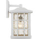 Stonington 1 Light 17 inch Matte White Outdoor Wall Lantern