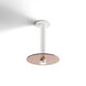 Combi LED 9 inch Matte White Pendant Ceiling Light in Tea Brown Glass, Suspension / Flush Mount 2-in-1