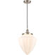 Edison Bullet LED 12 inch Brushed Satin Nickel Mini Pendant Ceiling Light