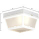 Wavy 2 Light 10 inch White Outdoor Flush Mount