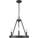 Alastair 16 inch 60.00 watt Matte Black Chandelier Ceiling Light