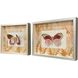 Flight Patterns Orange and Pink and Red and Yellow Framed Art, The Studio