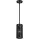 Acordia 1 Light 5.13 inch Black Mini Pendant Ceiling Light