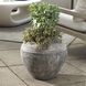 Echoes Of Time Whitewash Concrete Outdoor Planter