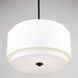 Burnaby LED 20.5 inch Black Pendant Ceiling Light