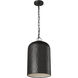 Thom Filicia Buckner 1 Light 10 inch Aged Iron Pendant Ceiling Light