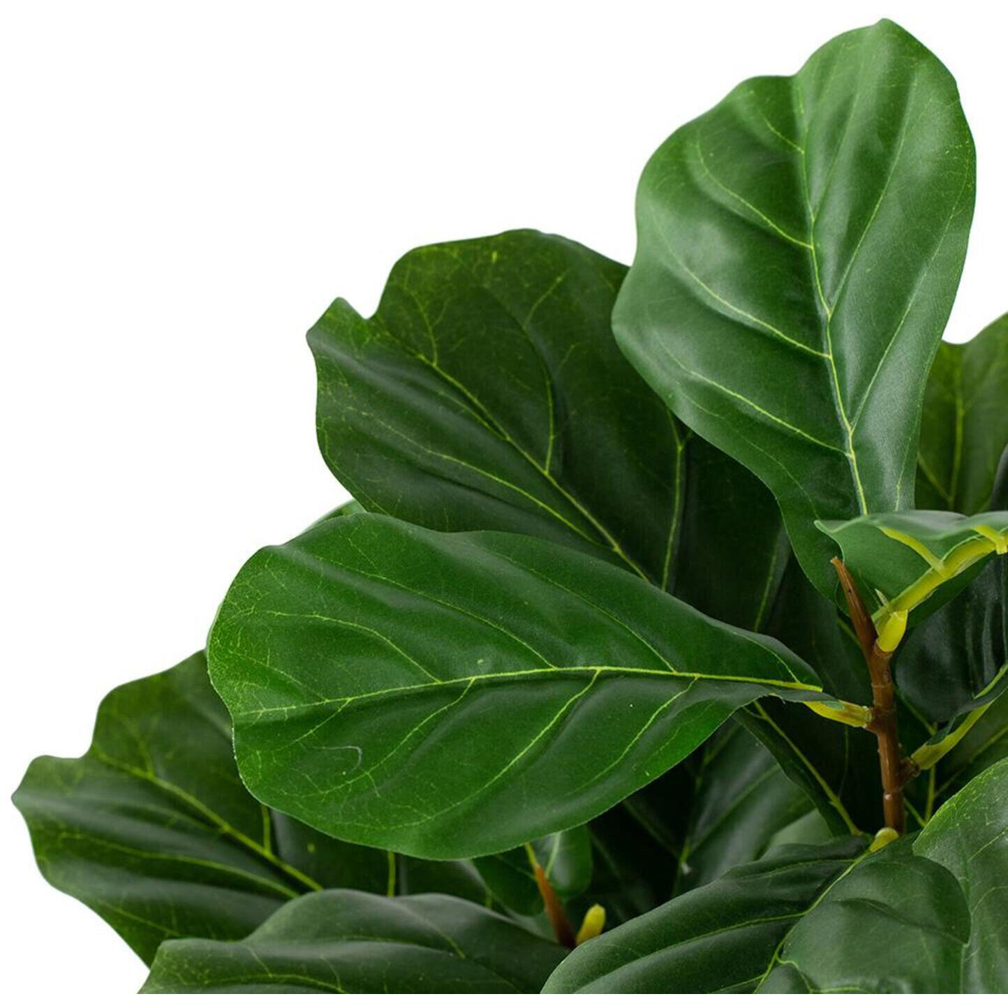 Potted Fiddle Leaf Tree Dark Green Faux Fiddle Leaf Tree