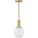 Modern 1 Light 8 inch Natural Brass Pendant Ceiling Light