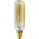 Glow Incandescent E12 Candelabra T6 E12 Candelabra T6 40.00 watt 120 2200K Bulb