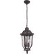 Frances 2 Light 10 inch Oiled Bronze Outdoor Outdoor Pendant, Medium
