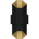 Chasm LED 15 inch Matte Black Gold Outdoor Wall Lantern