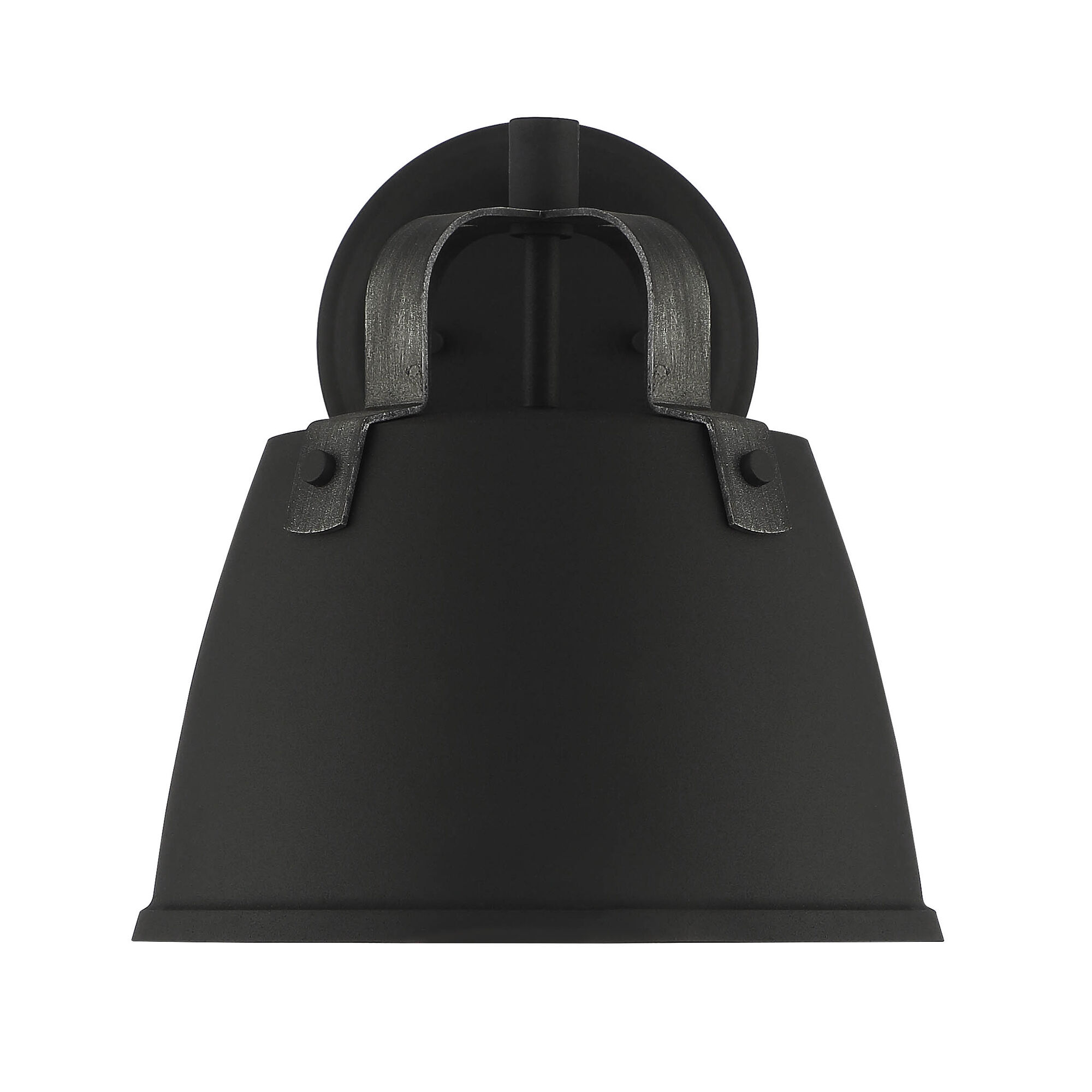 Albany 1 Light 11 inch Black Outdoor Wall Lantern