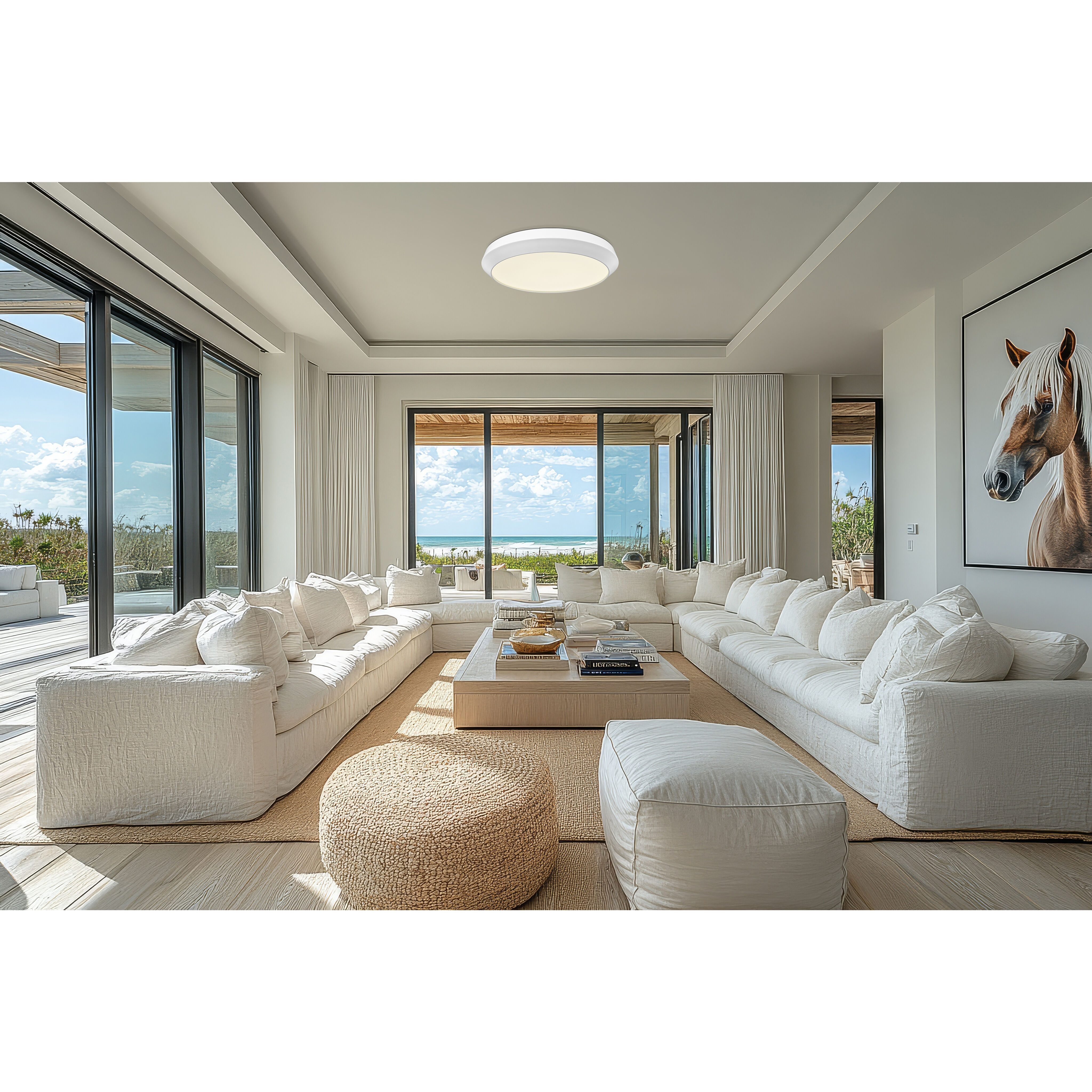 Quasars LED 20 inch Matte White Flush Mount Ceiling Light