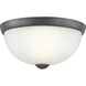 Glass Domes 1 Light 11 inch Graphite Flush Mount Ceiling Light