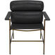 Chet Bronze Powder Coat and Santosa Matte Black Occasional Chair