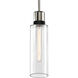 Zigrina 1 Light 5.88 inch Polished Nickel with Satin Brushed Black Pendant Ceiling Light