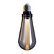 Buster LED E26 2.00 watt 120 2500K Light Bulb in Smoked