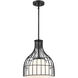 Evensong LED 12 inch Matte Black Pendant Ceiling Light