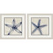 Shades of Starfish Blue and Neutral Framed Art, Propac