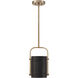 Contrast 1 Light 8.75 inch Aged Antique Brass And Coal Mini Pendant Ceiling Light