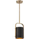 Contrast 1 Light 8.75 inch Aged Antique Brass And Coal Mini Pendant Ceiling Light