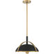 Yorkshire 2 Light 14 inch Dark Matte Black and Legacy Brass Pendant Ceiling Light