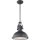 Cresswell Series 1 Light 13 inch Matte Black Pendant Ceiling Light